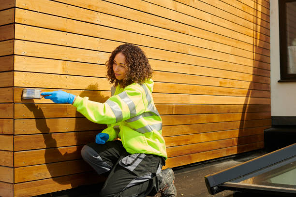 Best Vinyl Siding Installation  in Mccall, ID
